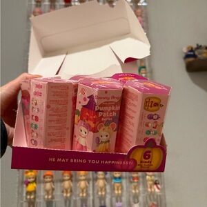 Authentic pumpkin patch Sonny angel (1)